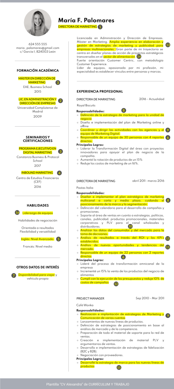 Cómo Adaptar El CV A La Oferta De Empleo (análisis Y Ejemplos)