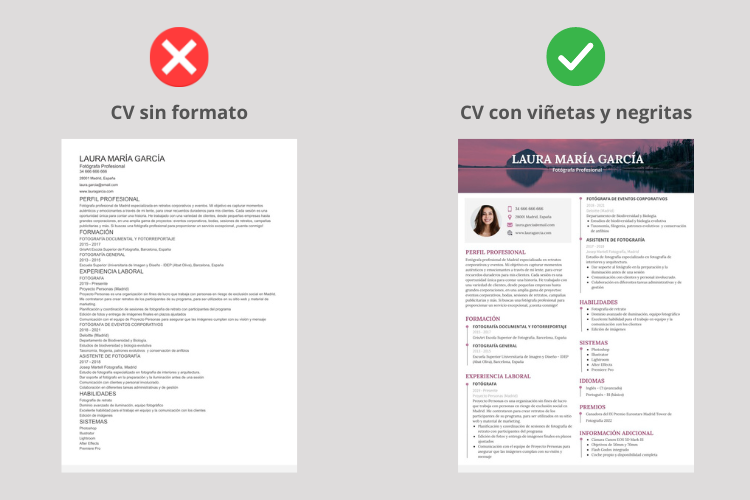 cv formato con negritas